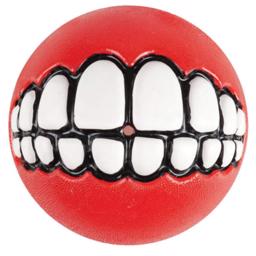 Kul aktivitetsboll för skojs skull och lek med din hund Rogz